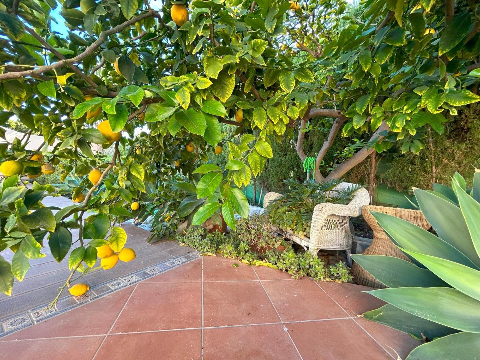 Casa Luna Llena Calpe Esterno foto